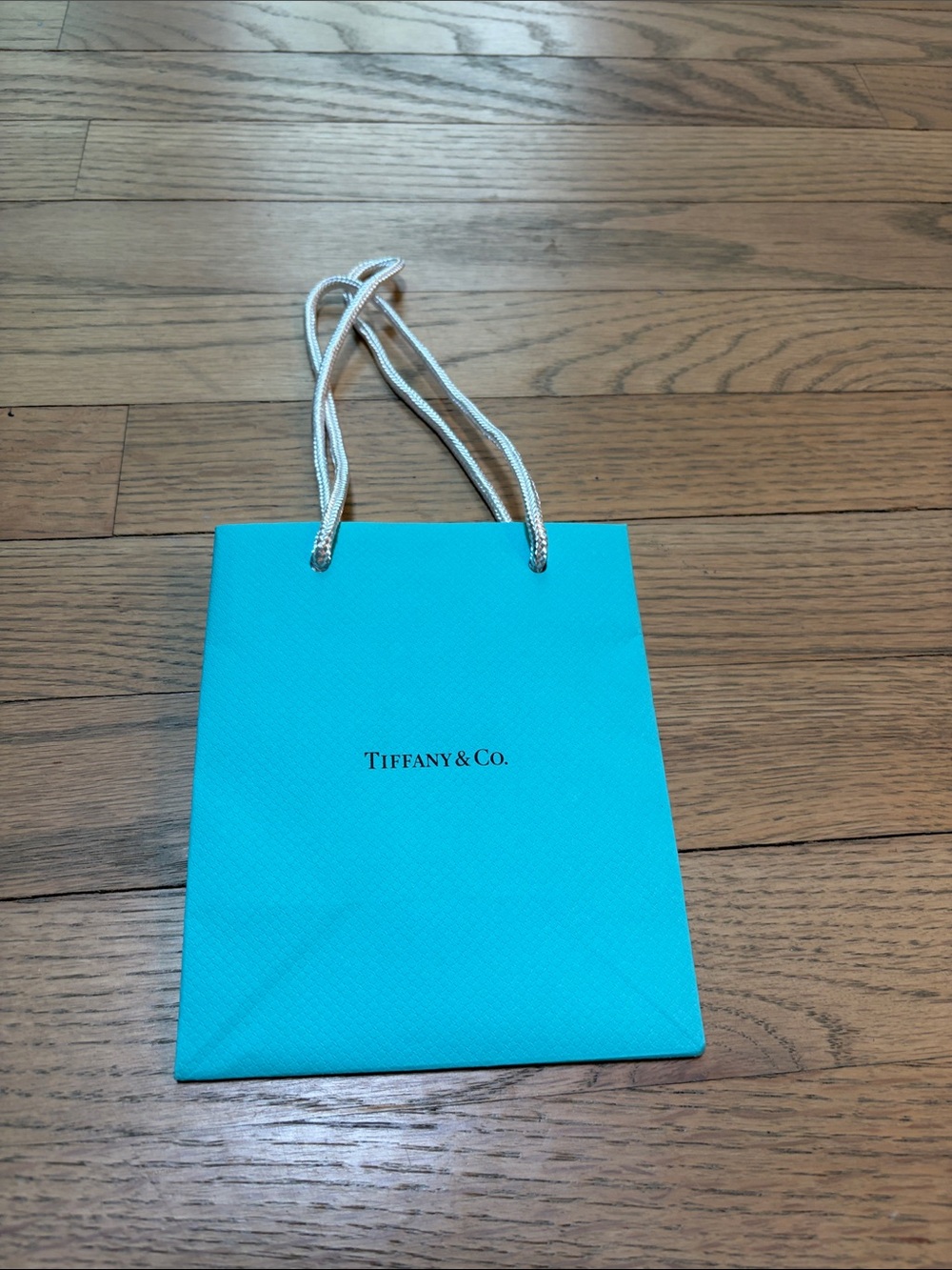 Tiffany Gift/Shopping bag